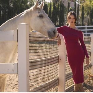 HEARTSTRUCK MIDI DRESS in RASPBERRY NWT Medium